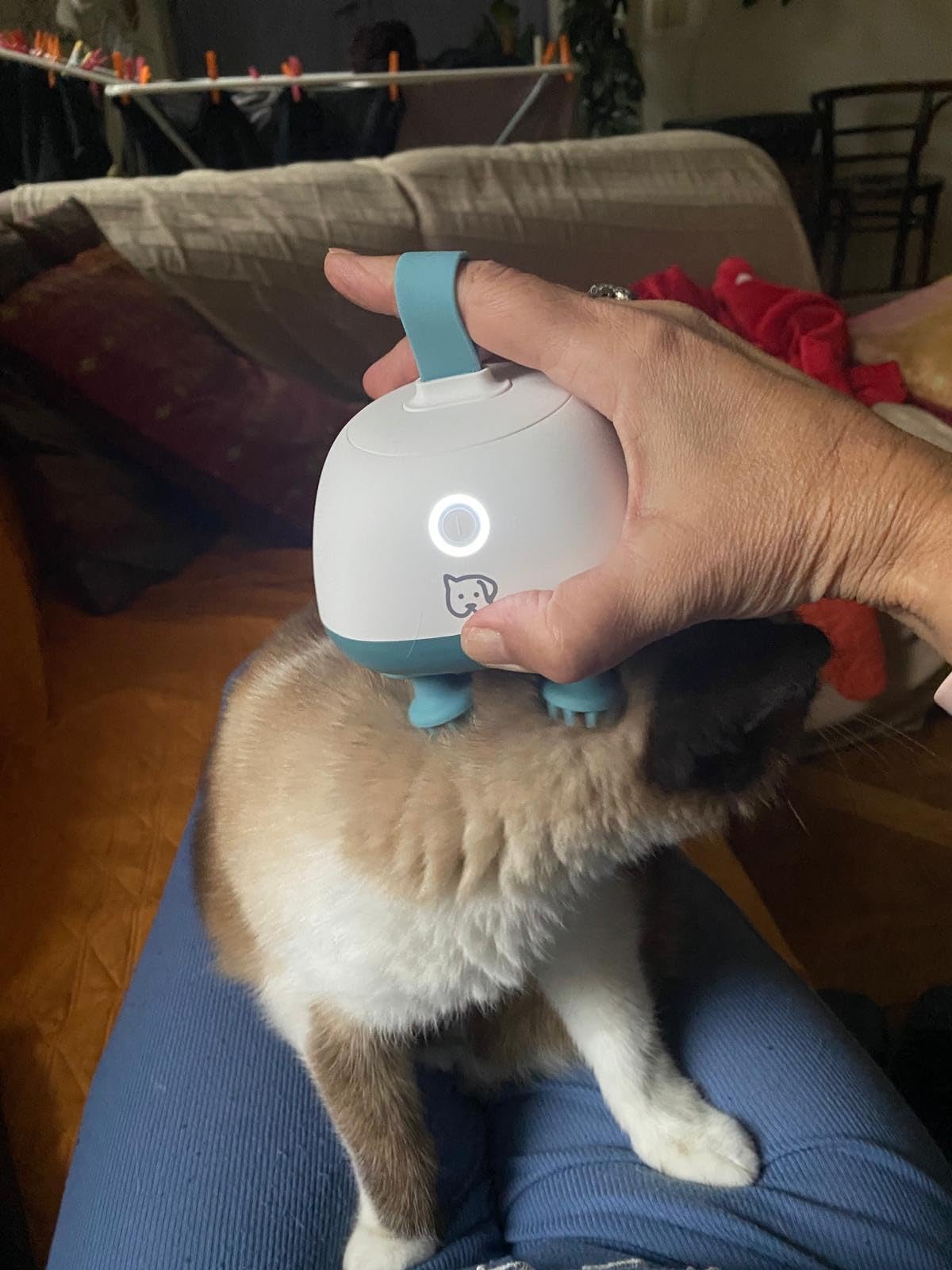 Ottimo per cani ansiosi