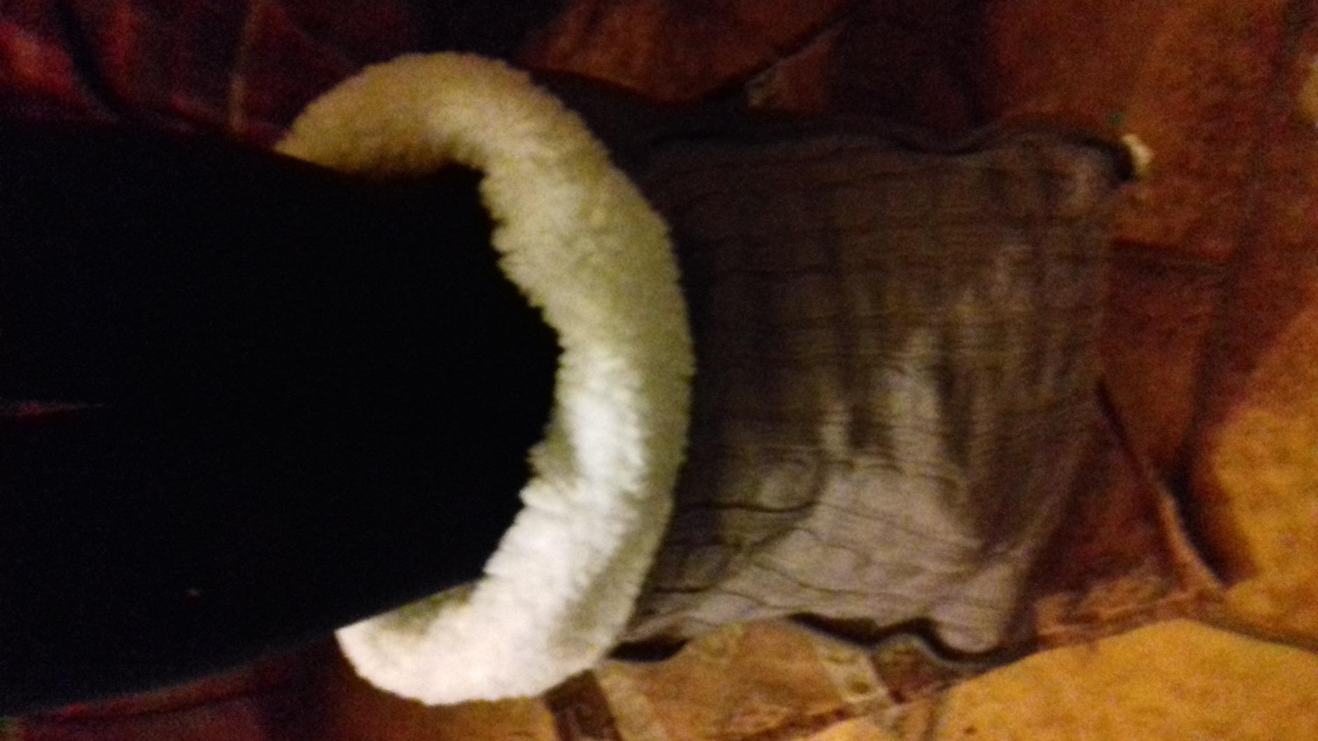 Comodo anche in ufficio