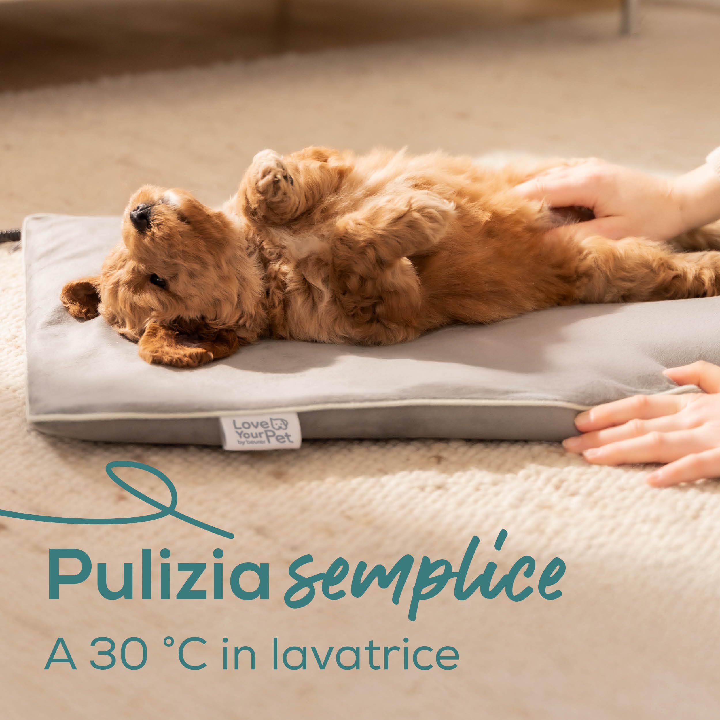 beurer-love-your-pet-tappetino-riscaldante-lilli-per-cani-e-gatti-taglia-s-41-x- image 3