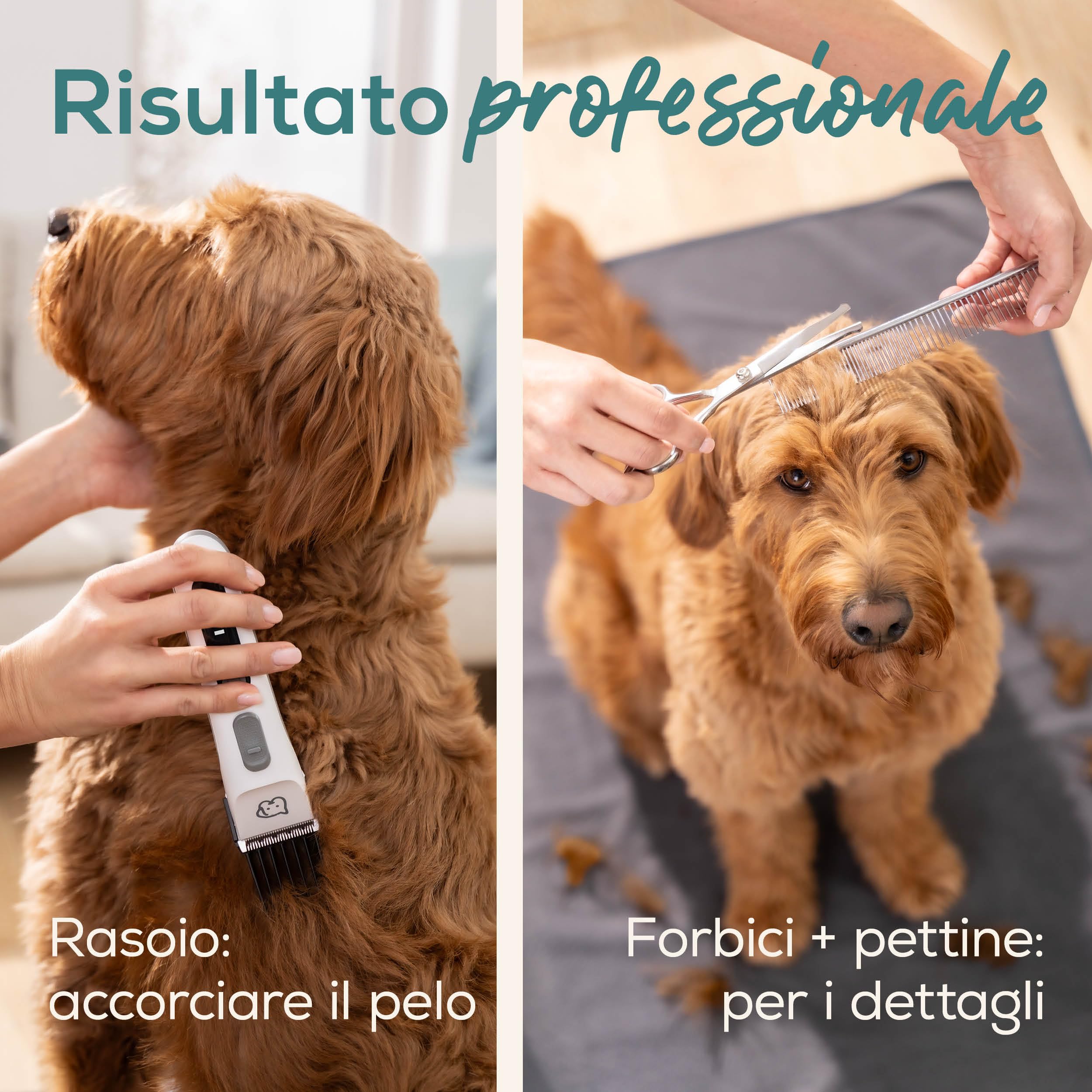 beurer-love-your-pet-tosatrice-fluffy-per-cani-e-gatti-motore-silenzioso-55-db-4 image 6