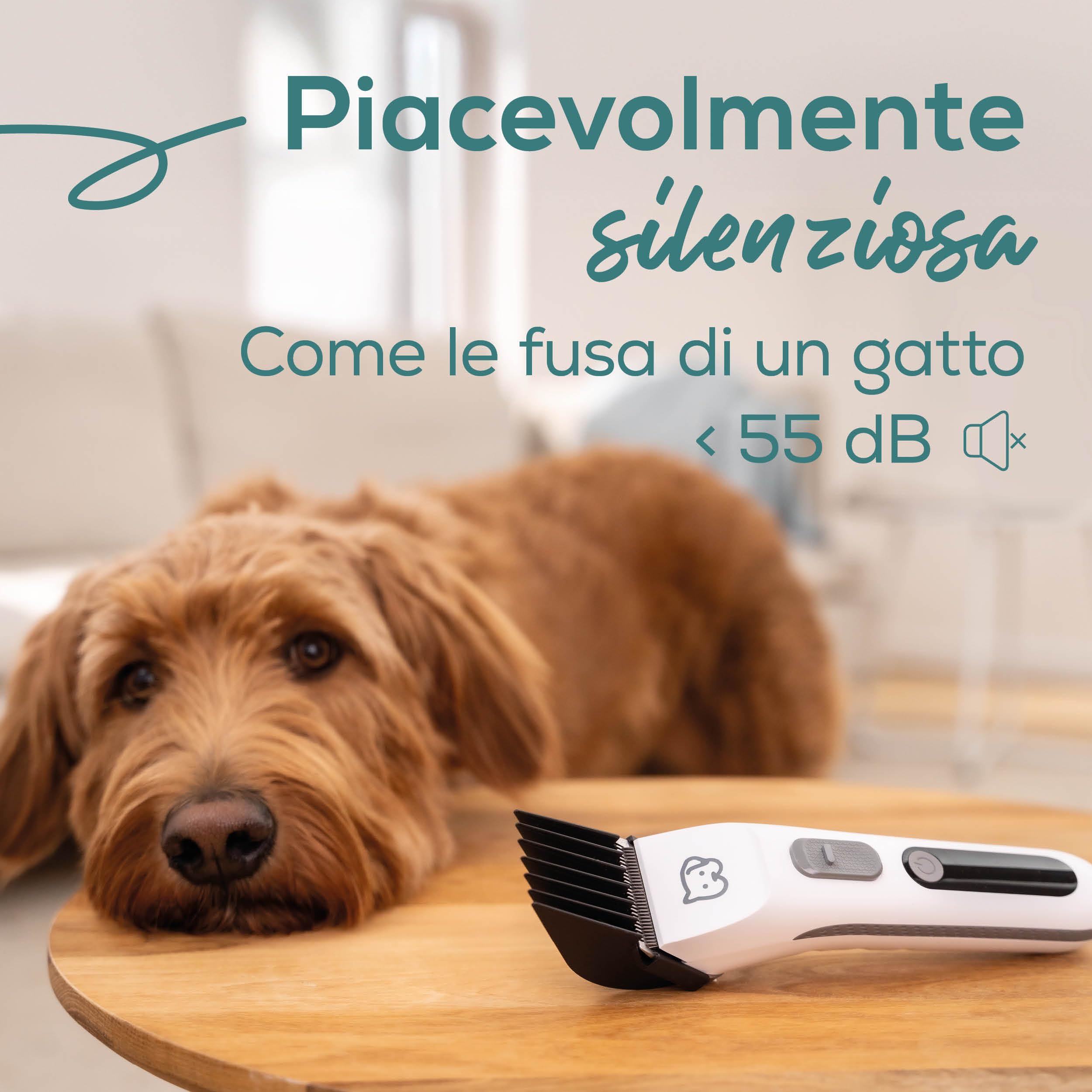 beurer-love-your-pet-tosatrice-fluffy-per-cani-e-gatti-motore-silenzioso-55-db-4 image 4