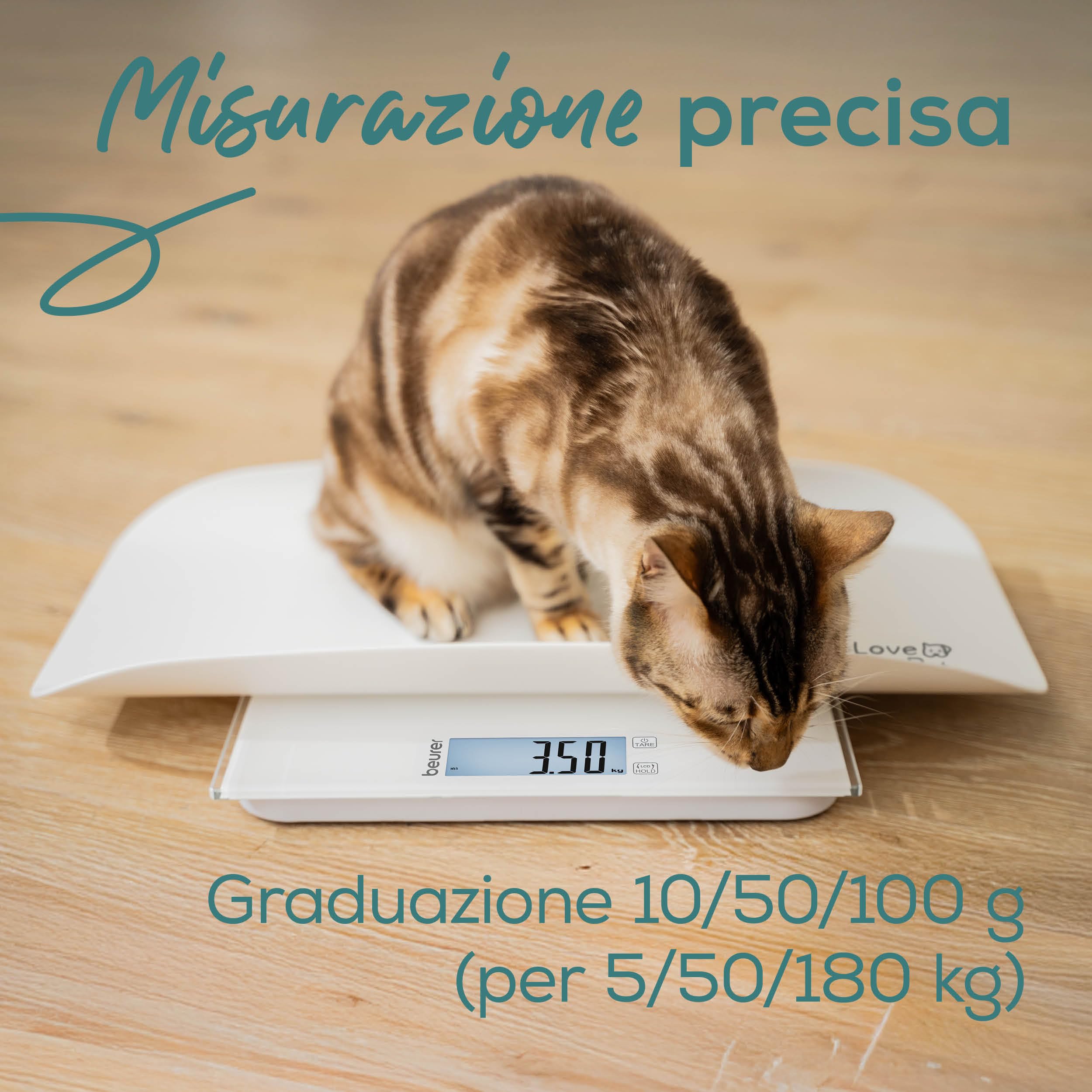 beurer-love-your-pet-bilancia-polly-per-animali-domestici-e-persone-piatto-di-pe image 4