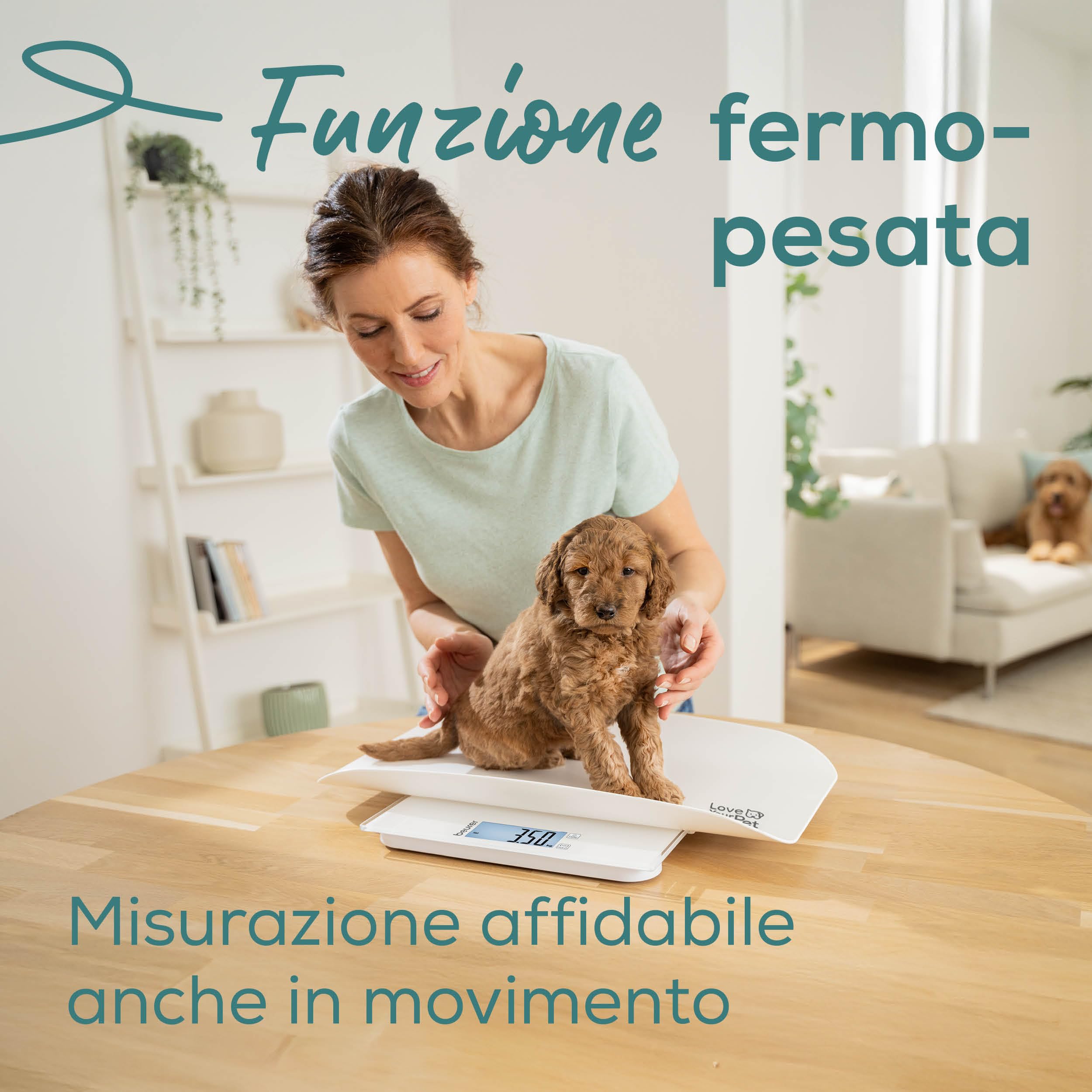 beurer-love-your-pet-bilancia-polly-per-animali-domestici-e-persone-piatto-di-pe image 5